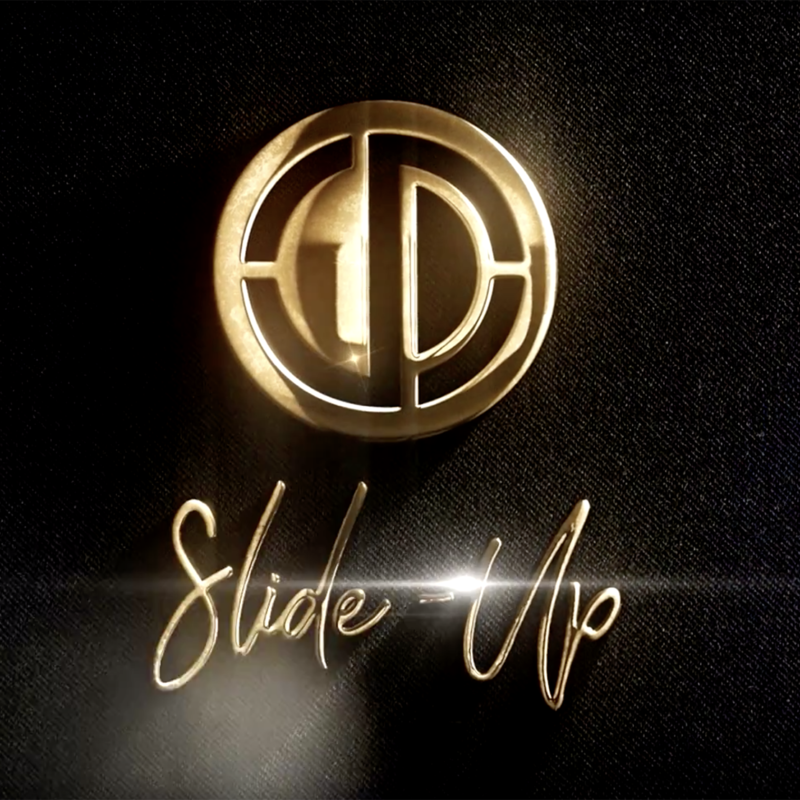 LOGO & MOTION DESIGN
